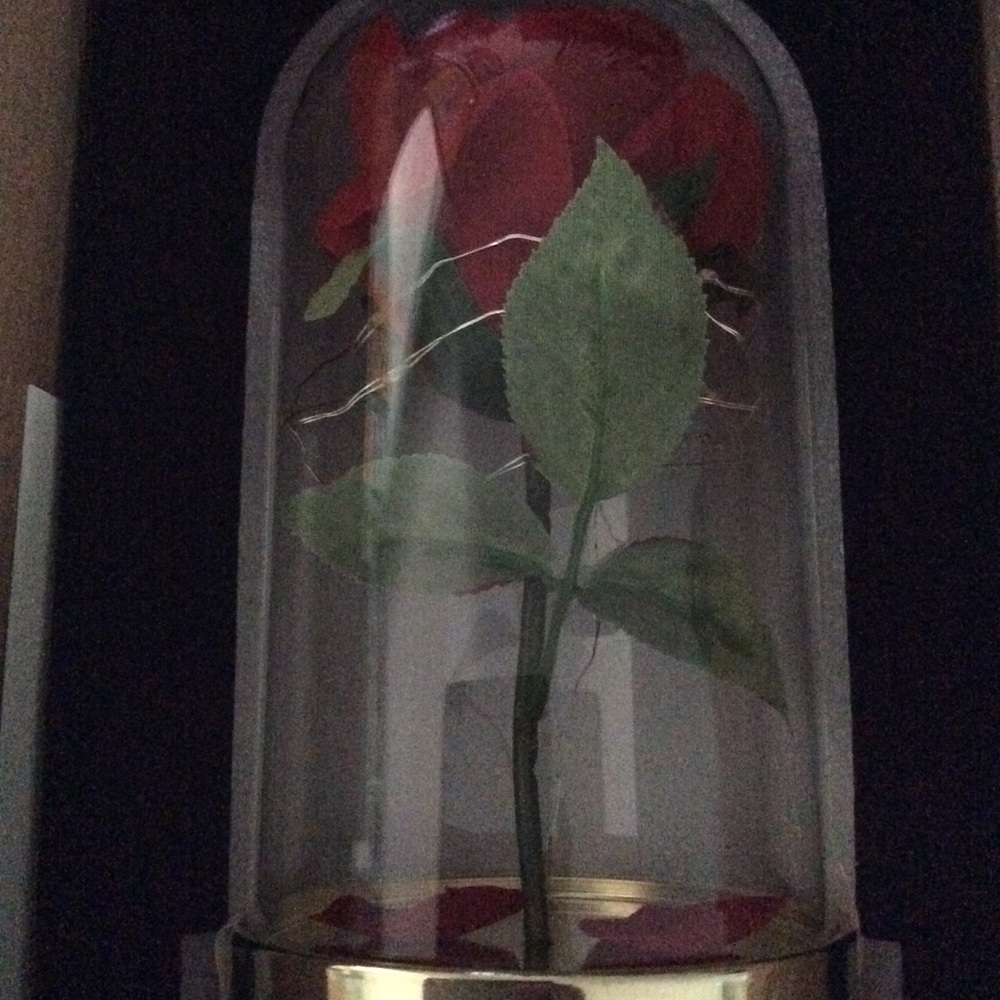 Beauty and the Beast Enchanted Rose